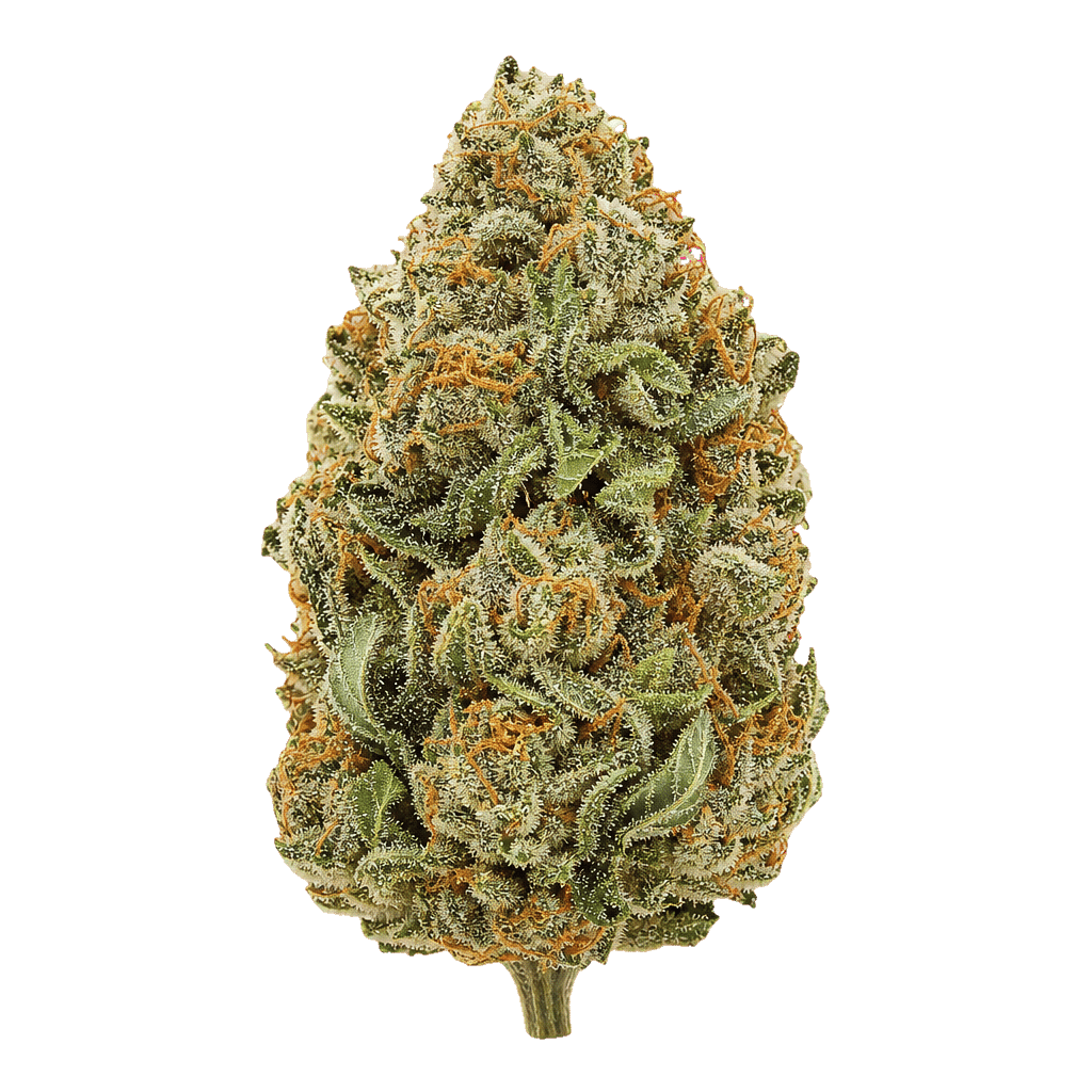 CM 32/1 SRK Sour Kush Online Kaufen