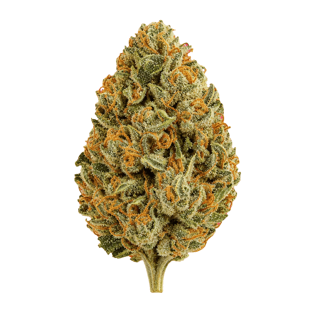 enua 27/1 CYM CA Cherry Mint Online Kaufen
