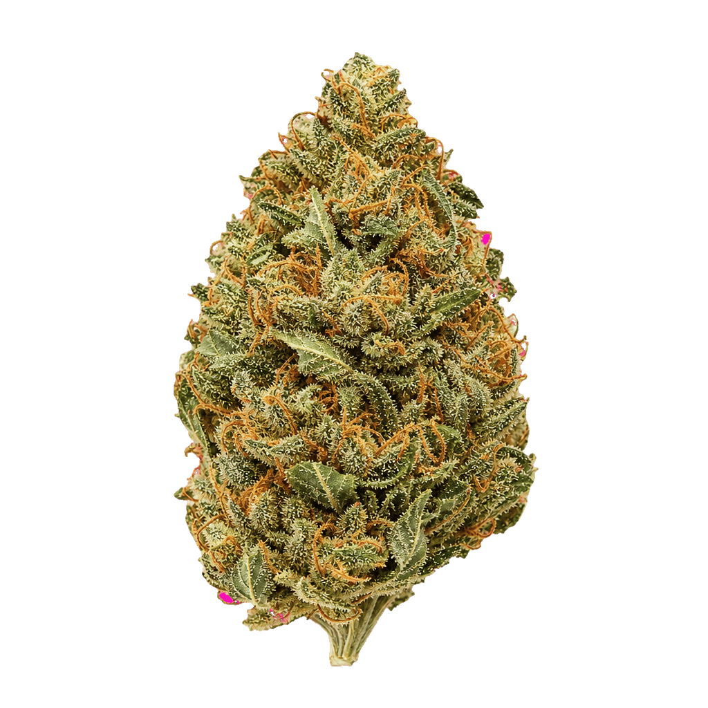 Truth Holdings LH 31/1  Liberty Haze Online Kaufen