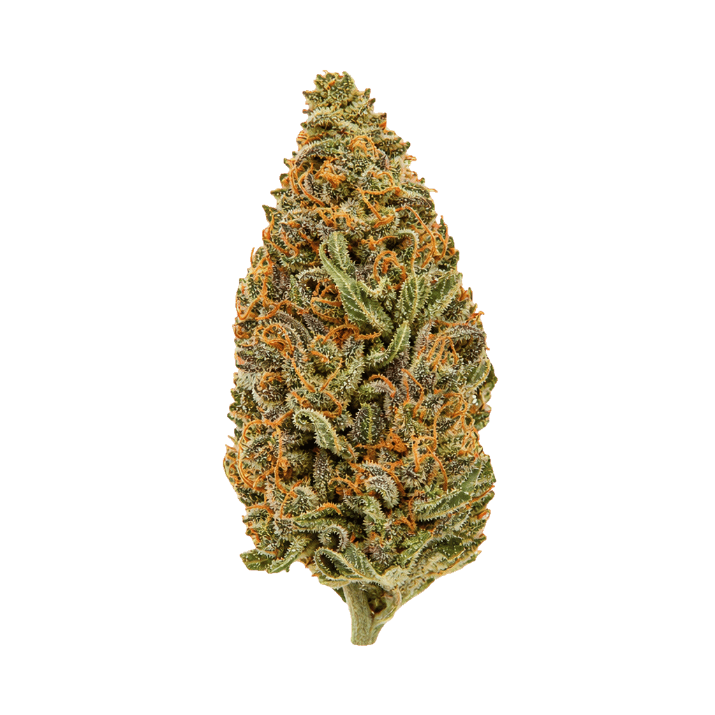 Cannamedical Hybrid Ultra KA CM Cosmic Mac Online Kaufen