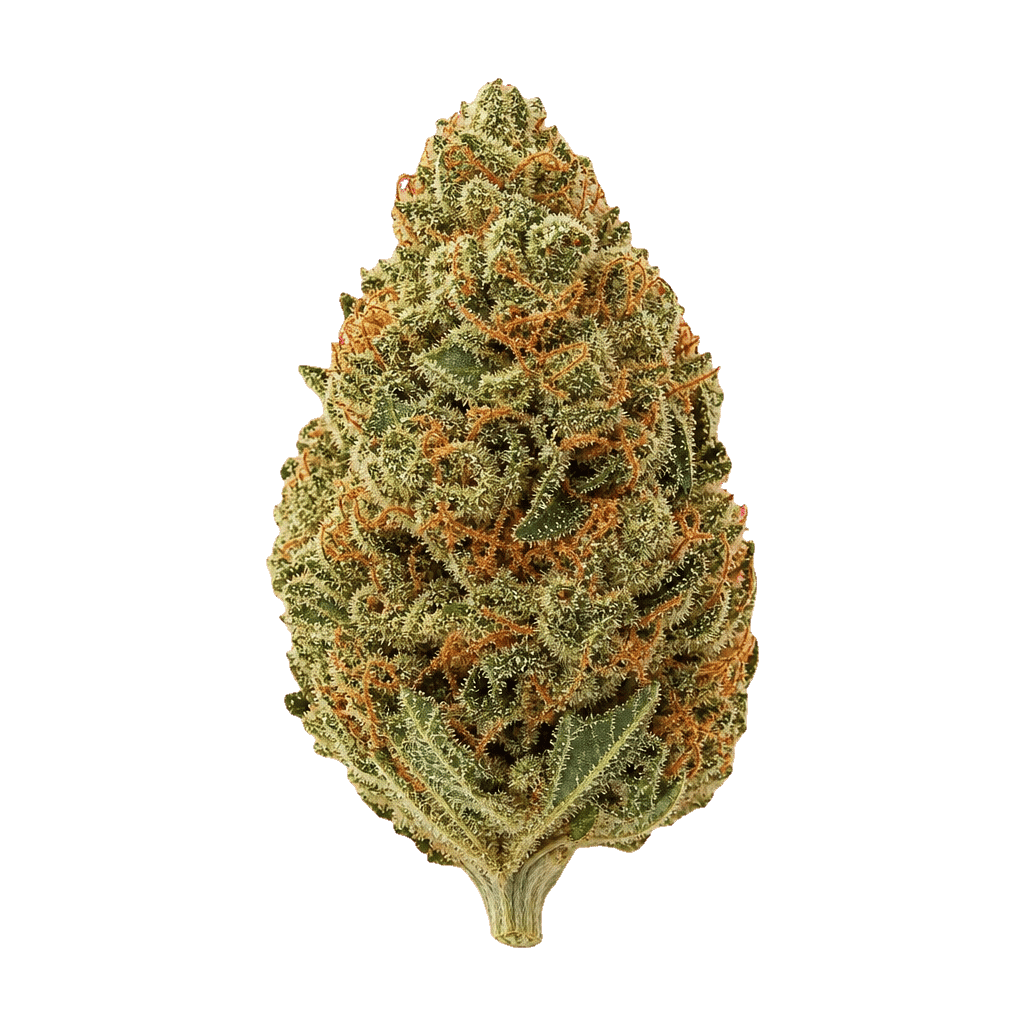 CM 32/1 Hybrid 8 Ball Kush Online Kaufen