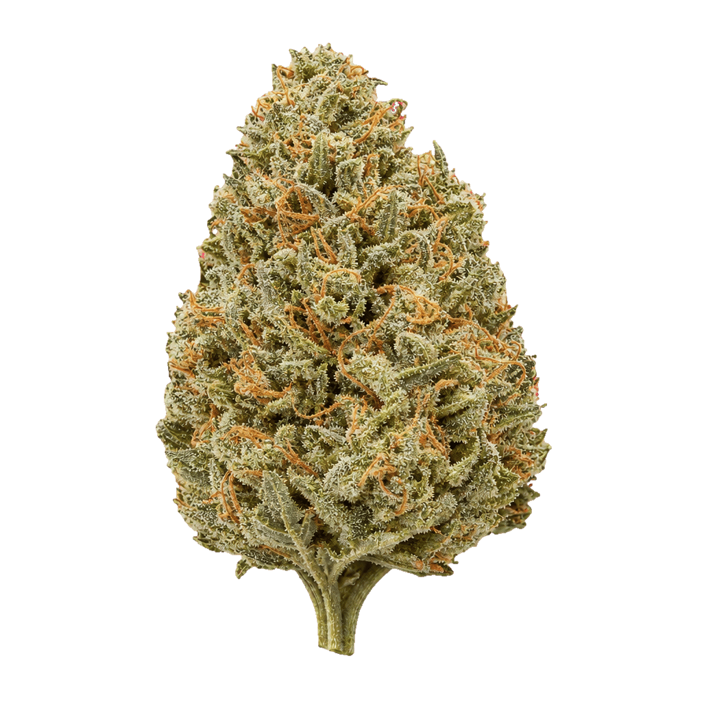 Cannamedical Sativa Forte NM Goofiez Online Kaufen