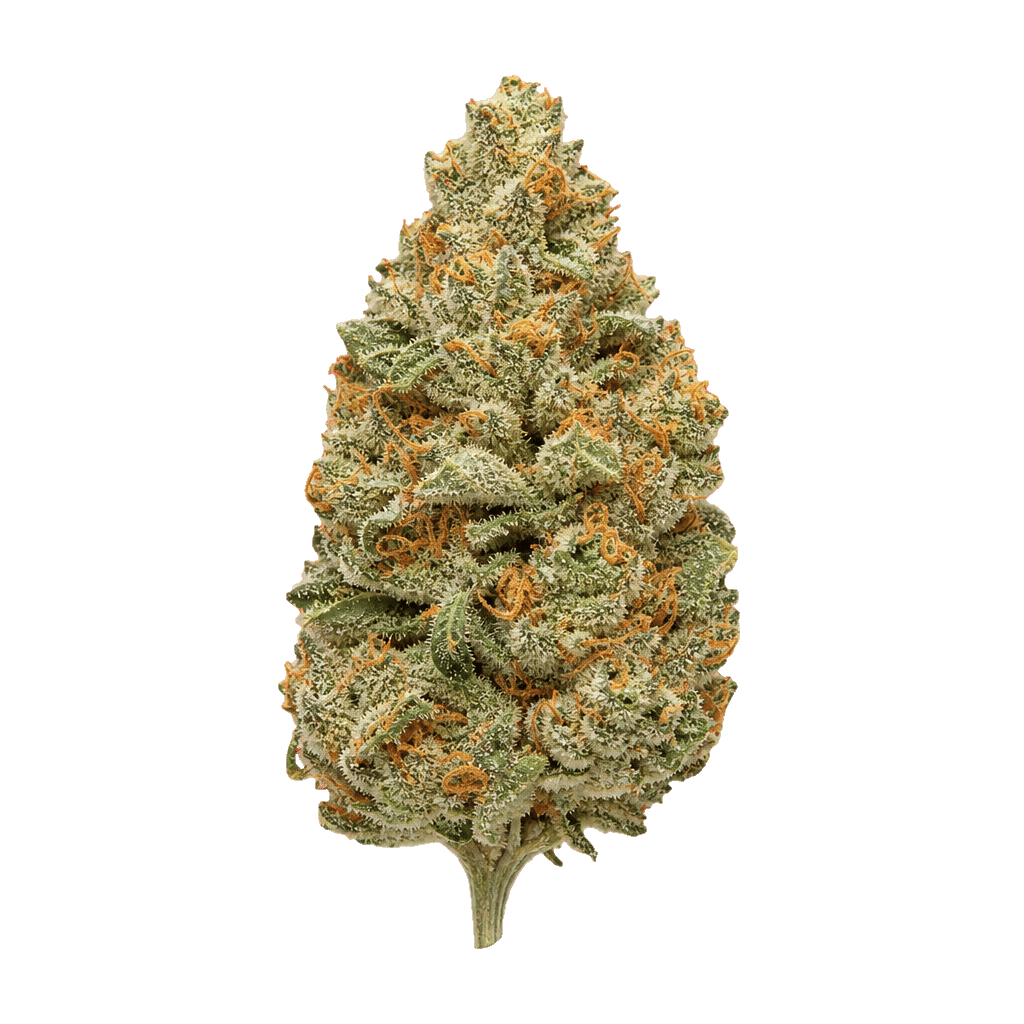 Wellford Aeroponic 30/1 ZA CAP Candy Pave Online Kaufen