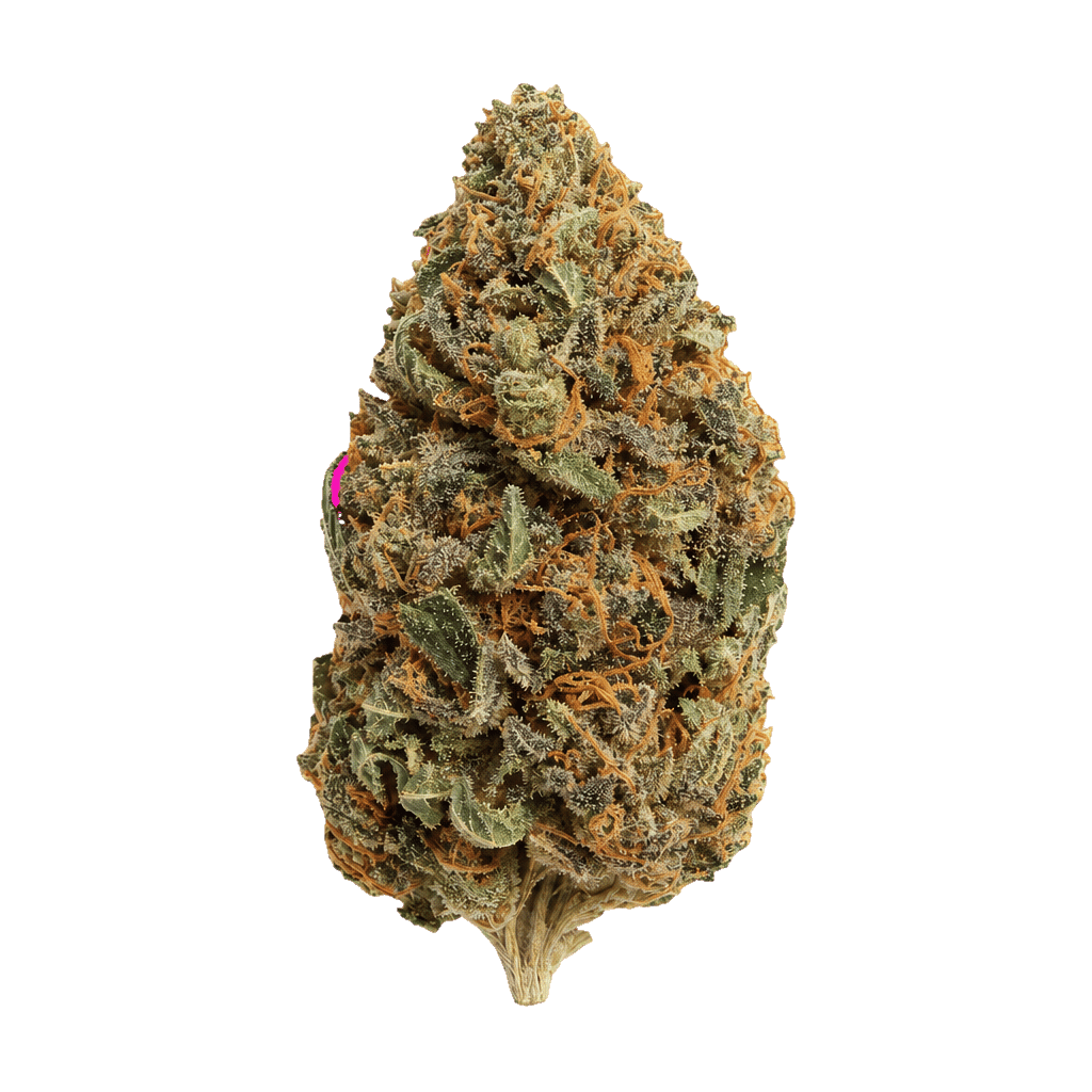 Tikun OZ 22/1 OZ Online Kaufen