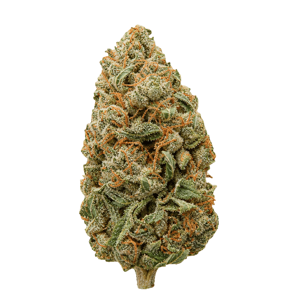 Truth Holdings LH 32/1 Liberty Haze Online Kaufen
