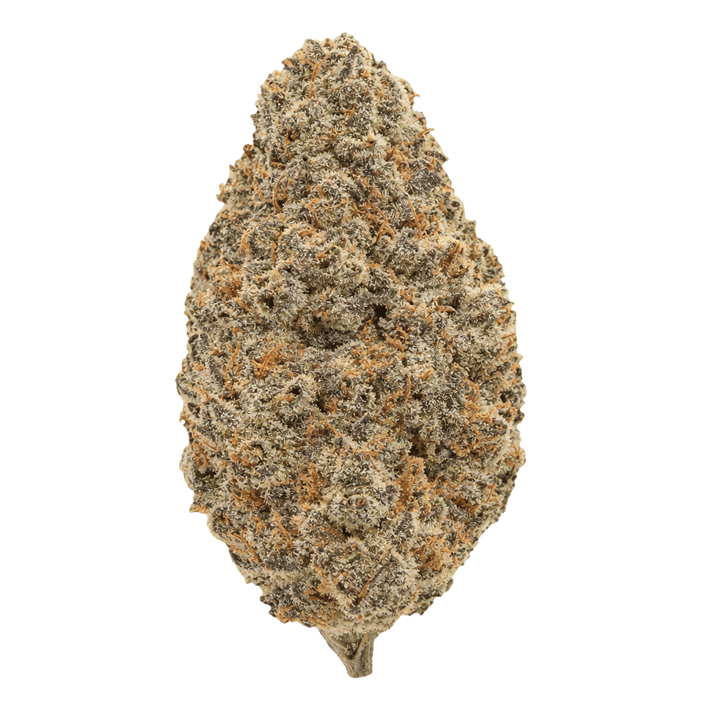 IMC THC28 T10 Black Pineapple Online Kaufen