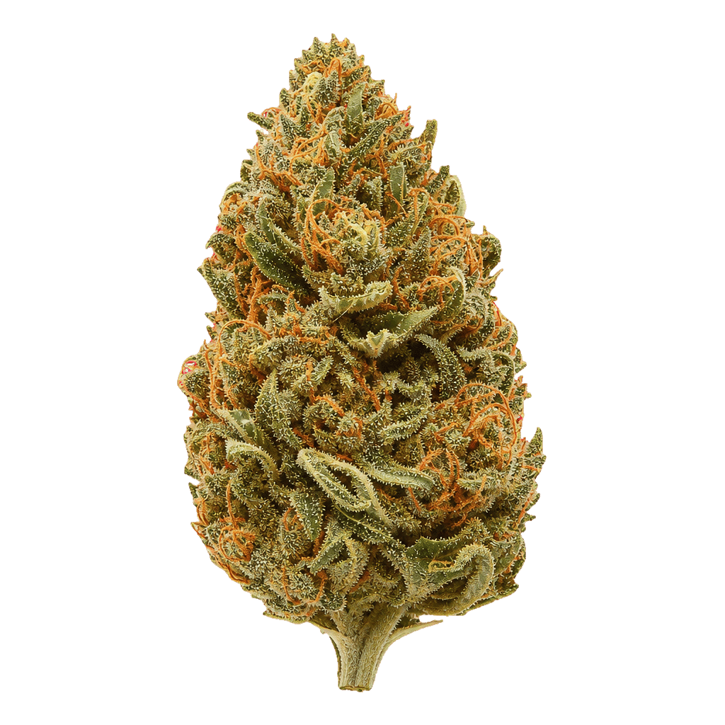 420 Evolution 27/1 CA FFC Frosted Fruit Cake Online Kaufen