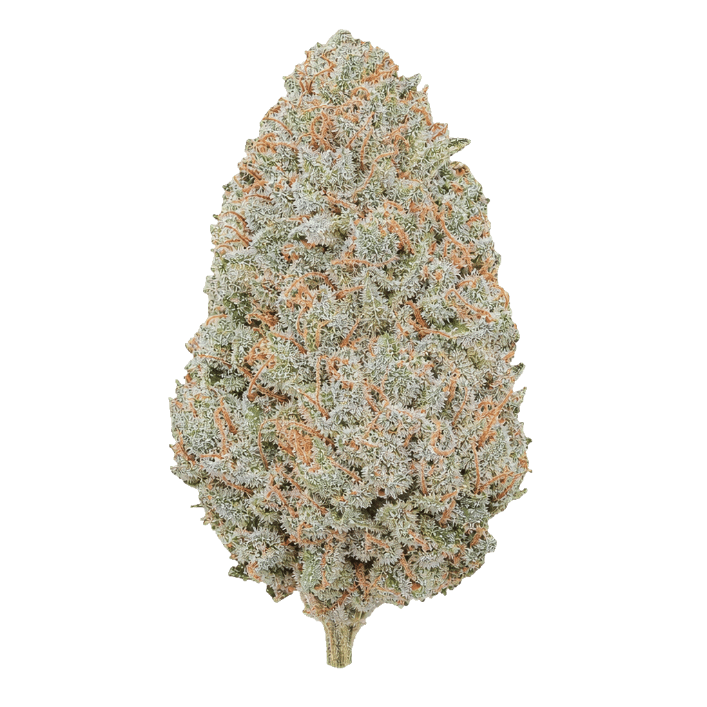 Tetra THC27 BCP Black Cherry Punch Online Kaufen