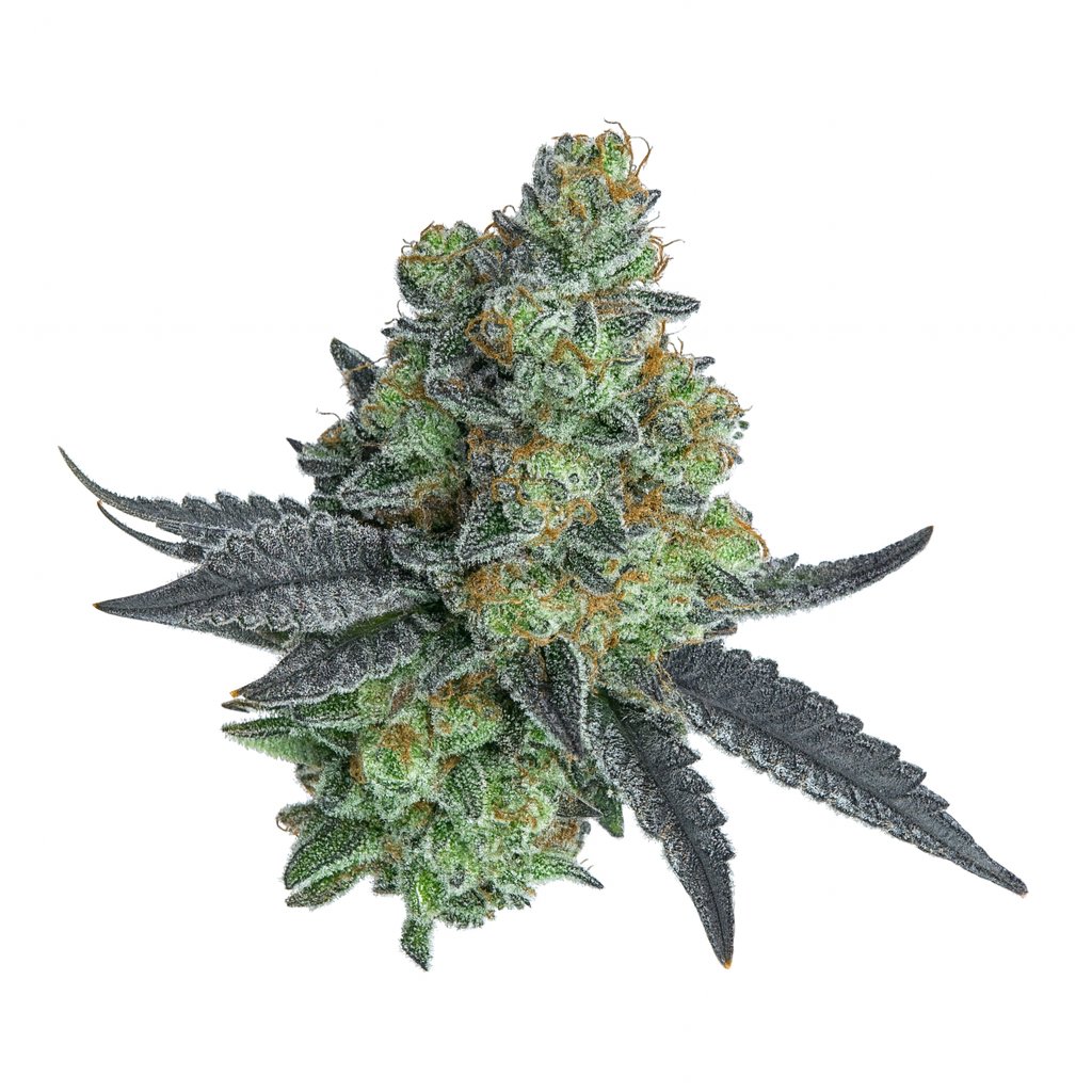 Carnez Citric