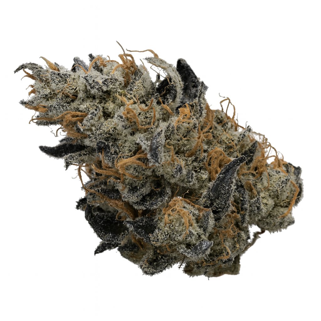 Mac 3