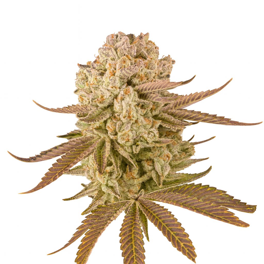 Pineapple Express