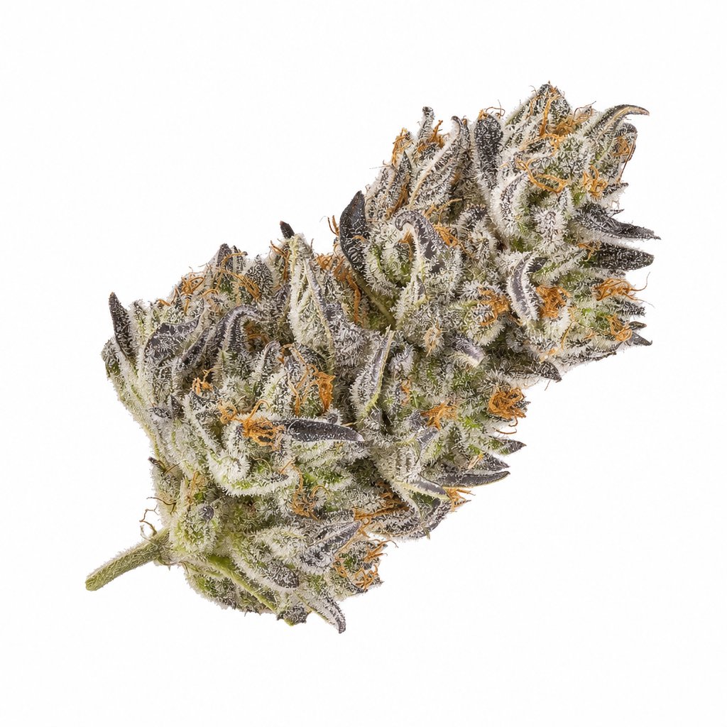 Wedding Cake x Jet Fuel Gelato