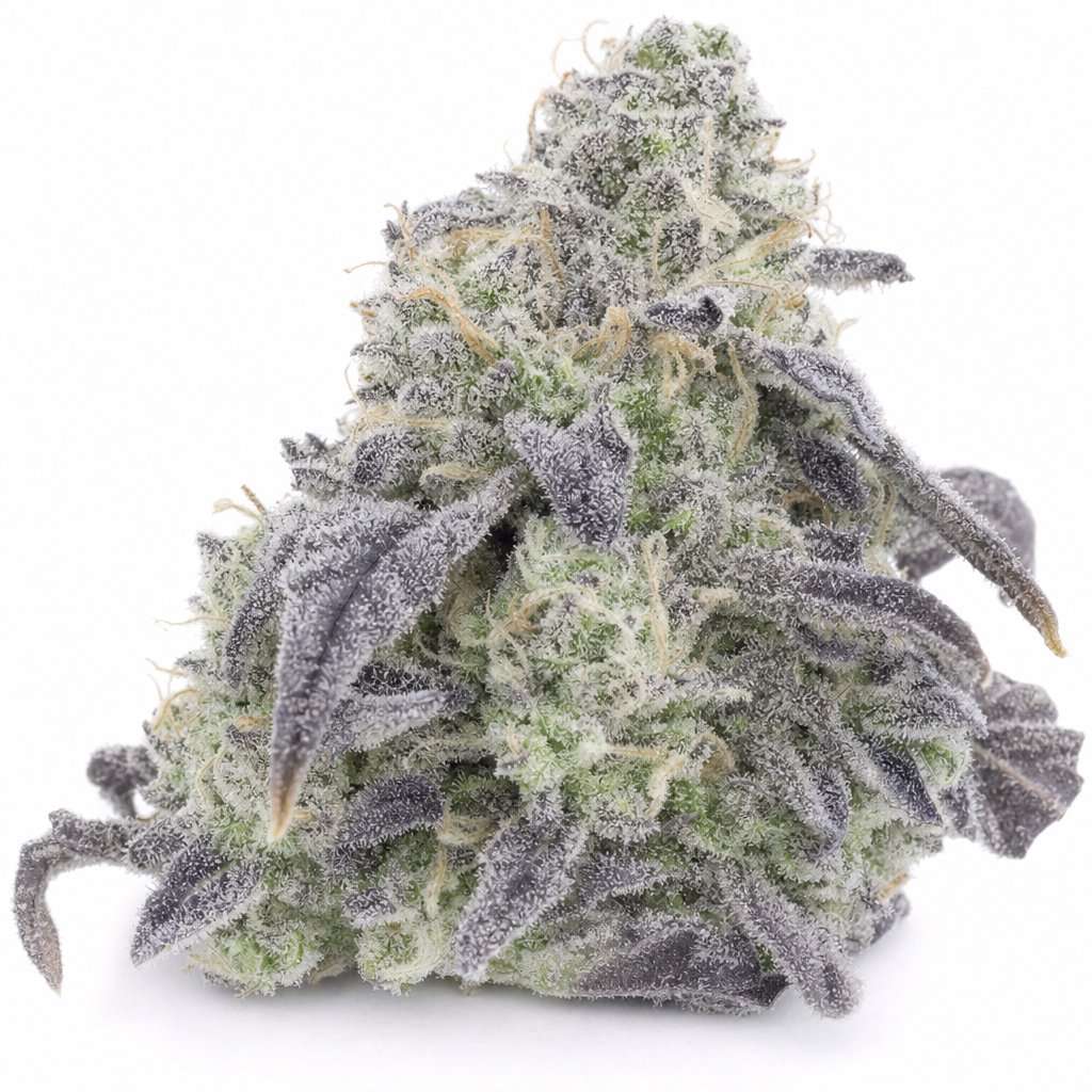 Vanilla Cake
