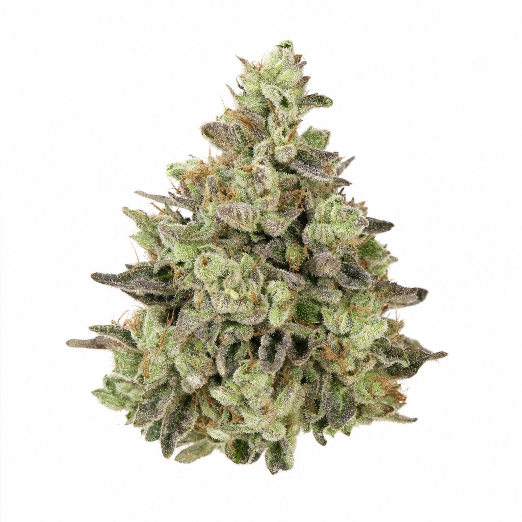 Campfire Kush