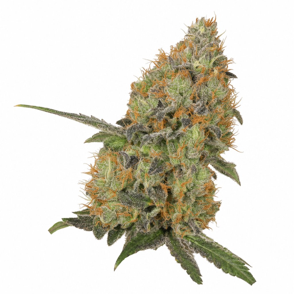 Strawberry Haze