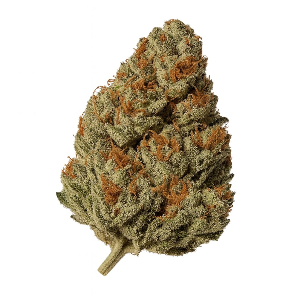 Cannamedical CM 28/1 OG Kush Online Kaufen