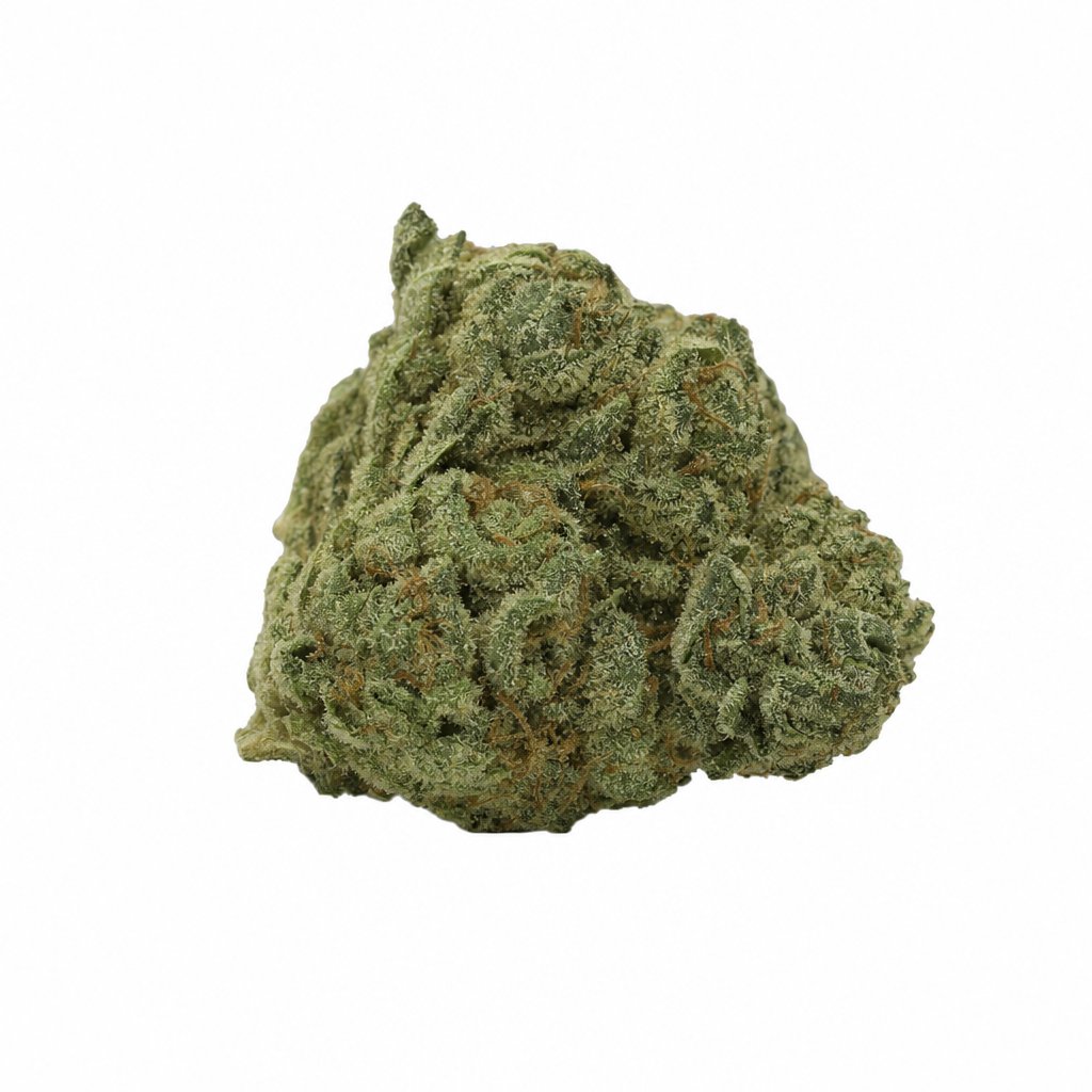 Weeco 27/1 KL King Louis Cali Sunset Online Kaufen