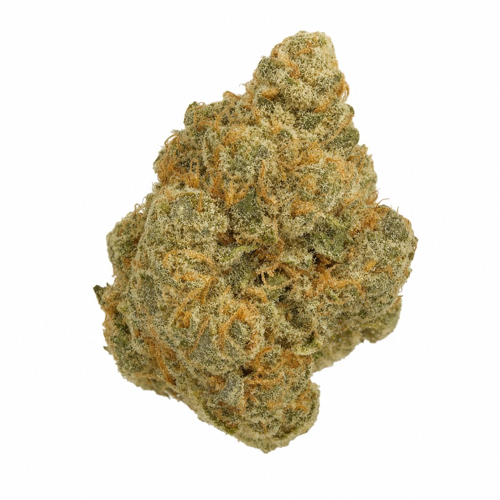 Cannamedical Indica Forte BC Tangerine Boost Online Kaufen
