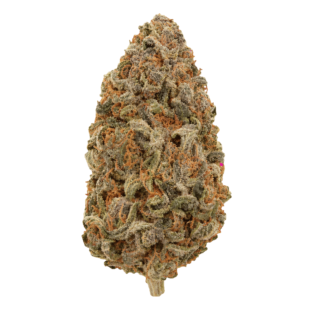 420 Evolution 30/1 CA FFC Frosted Fruit Cake Online Kaufen