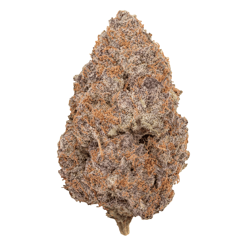 420 Evolution 30/1 CA PEX Online Kaufen