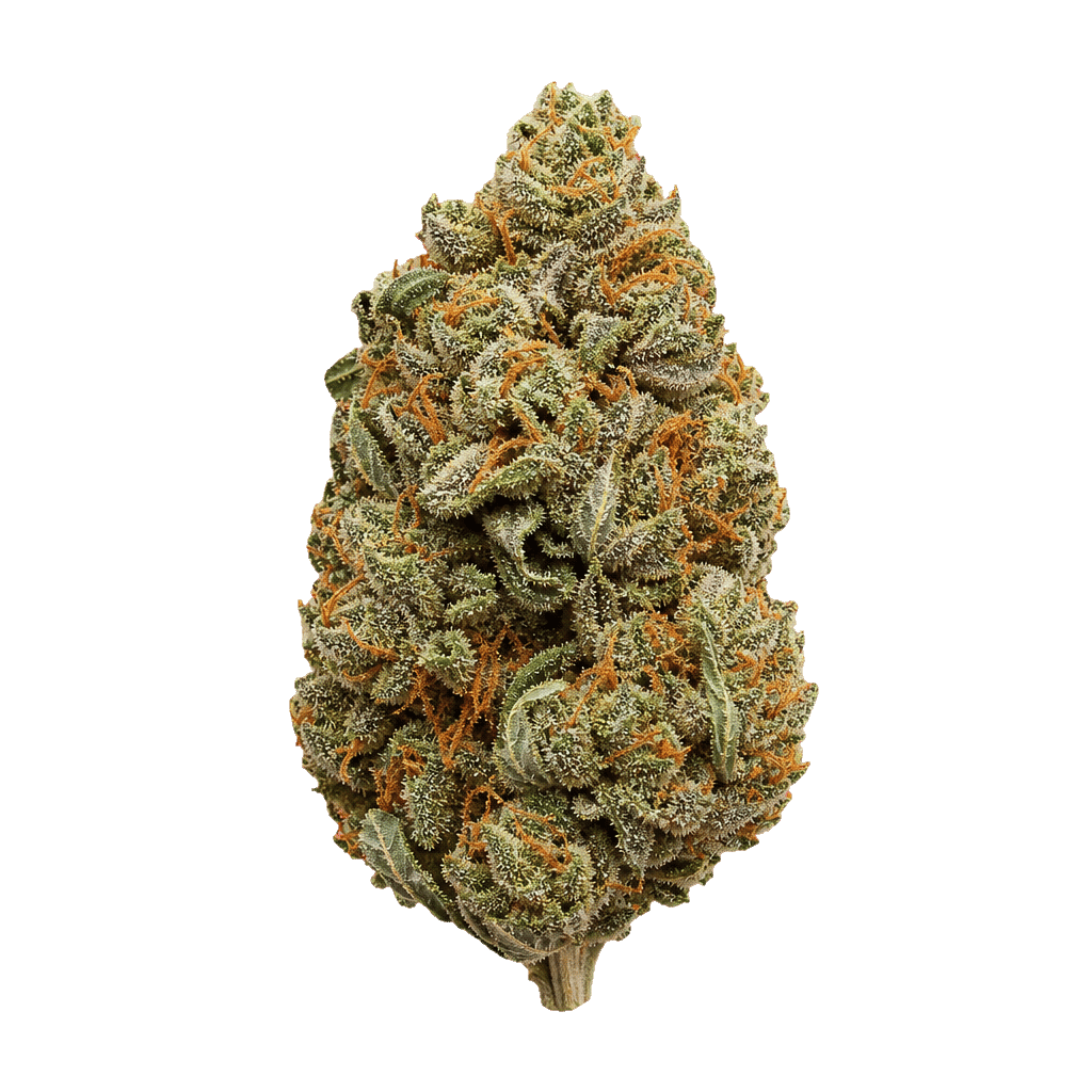 420 Evolution 27/1 CA CBB Cherry Bang Bang Online Kaufen