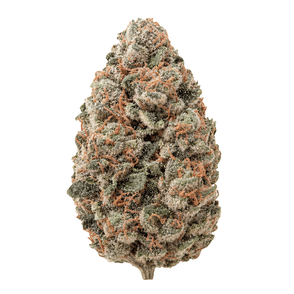 420 Evolution 27/1 CA MGD Magic Gum Drops Online Kaufen