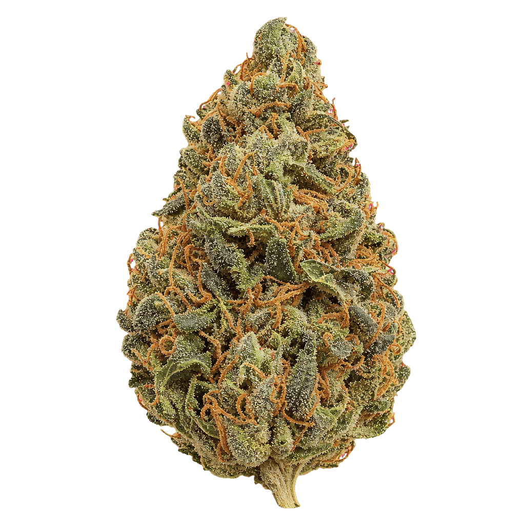 420 Natural 25/1 CA GG4 Gorilla Glue 4 Online Kaufen
