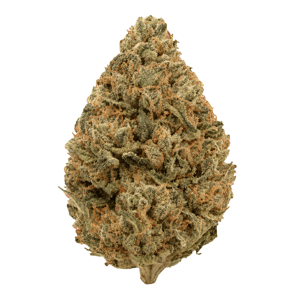 aleph rose 18/1 Tropicana Cookies Online Kaufen