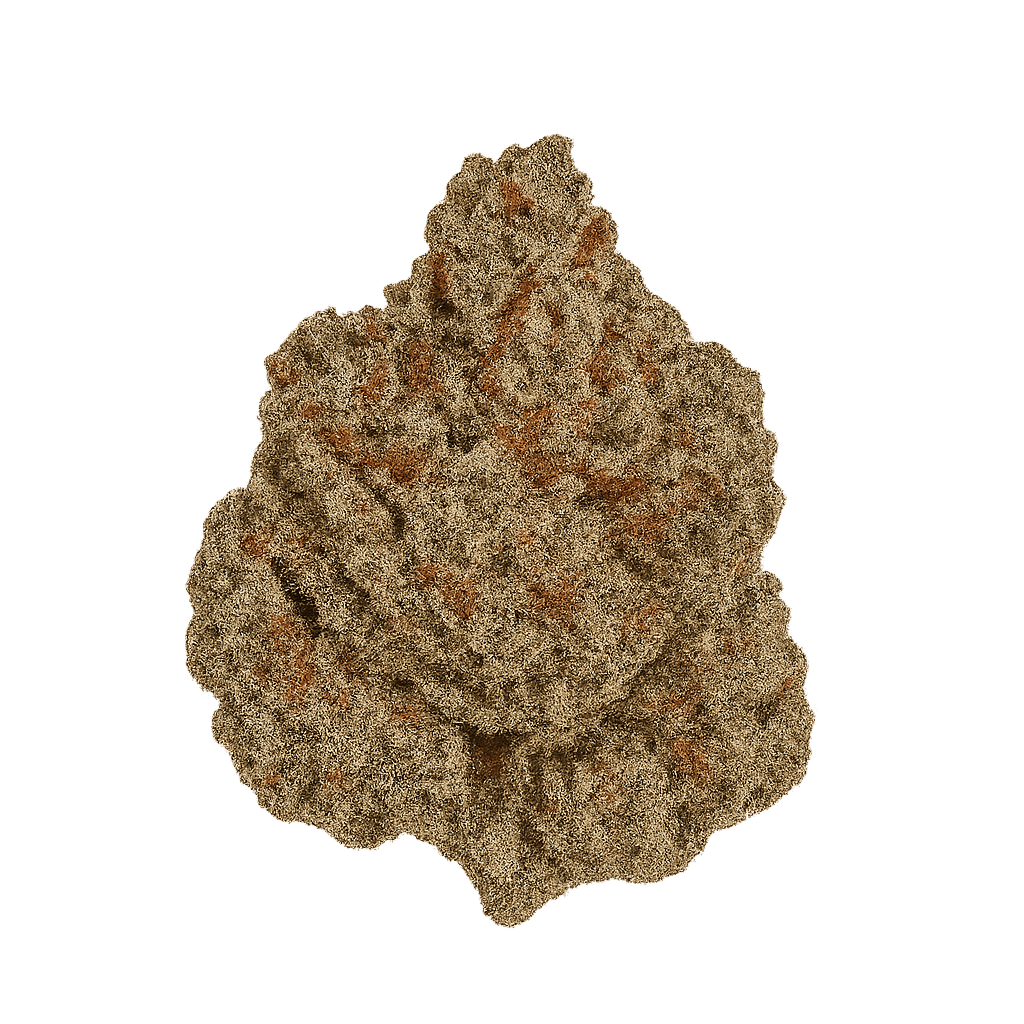 avaay Signature 34/1 OGC Ocean Grown Cookies Online Kaufen