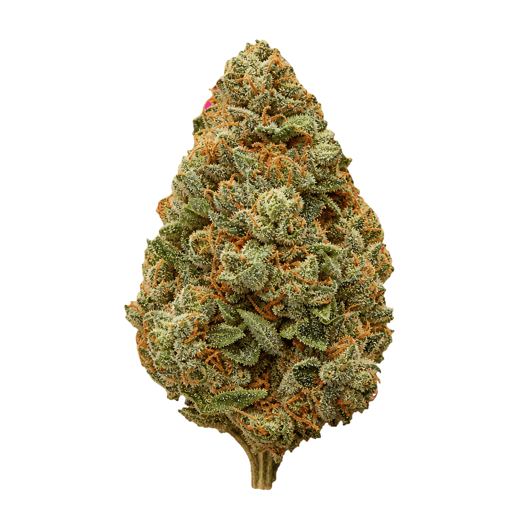BC Green 30/1 PG Pink Grapes Online Kaufen