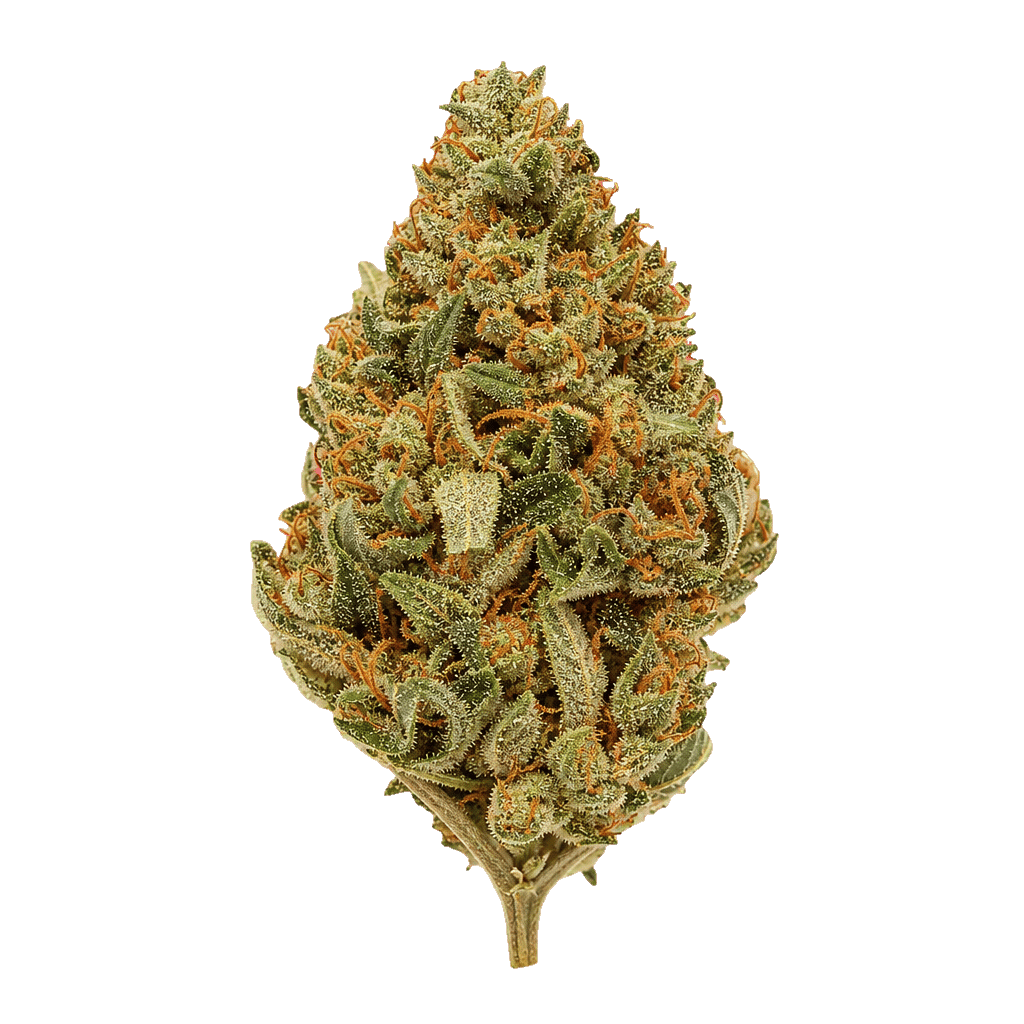 Beacon SCP T32 Sweet Cherry Pie Online Kaufen