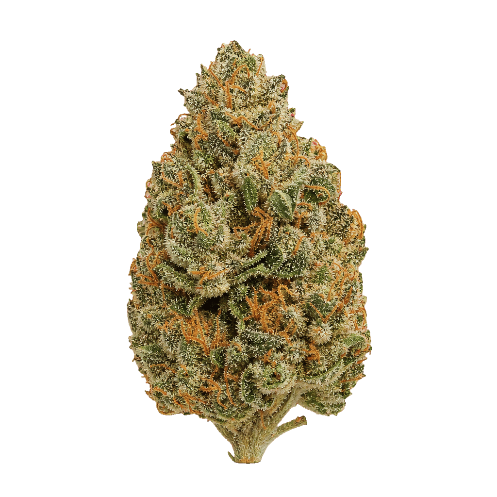 Briah LCP 27 Lemon Cherry Pie Online Kaufen