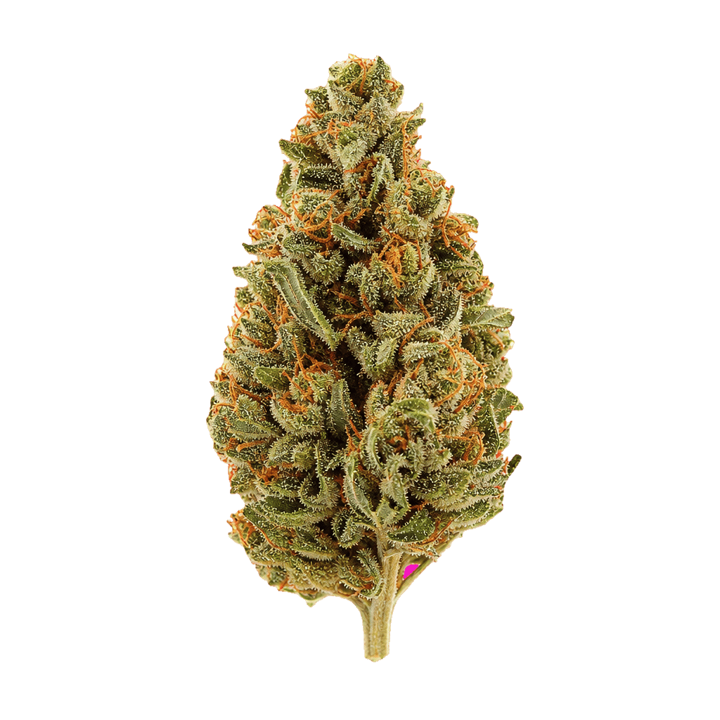 Buuo 30/1 KBP Dragon Berry Kush Online Kaufen