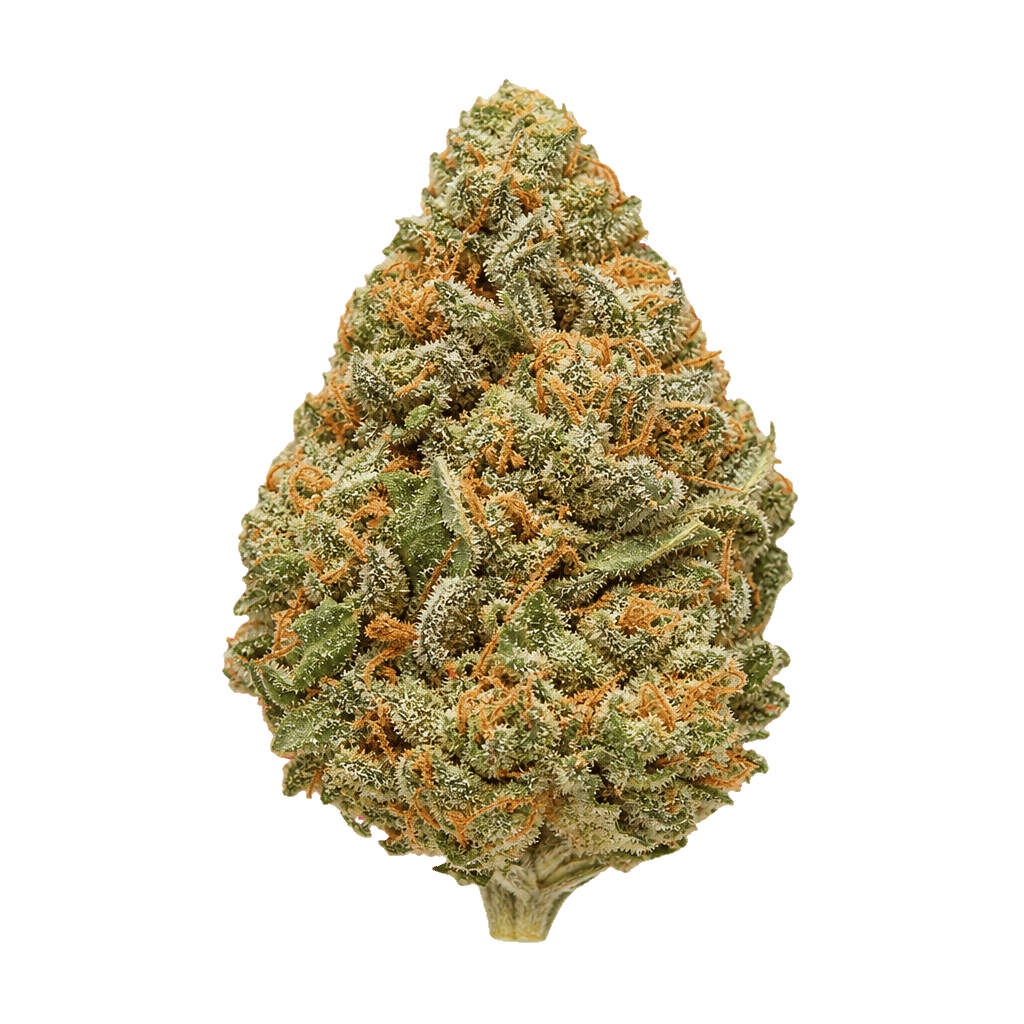 Cannabis Flos 10/12 LS Ku Basotho Even Online Kaufen