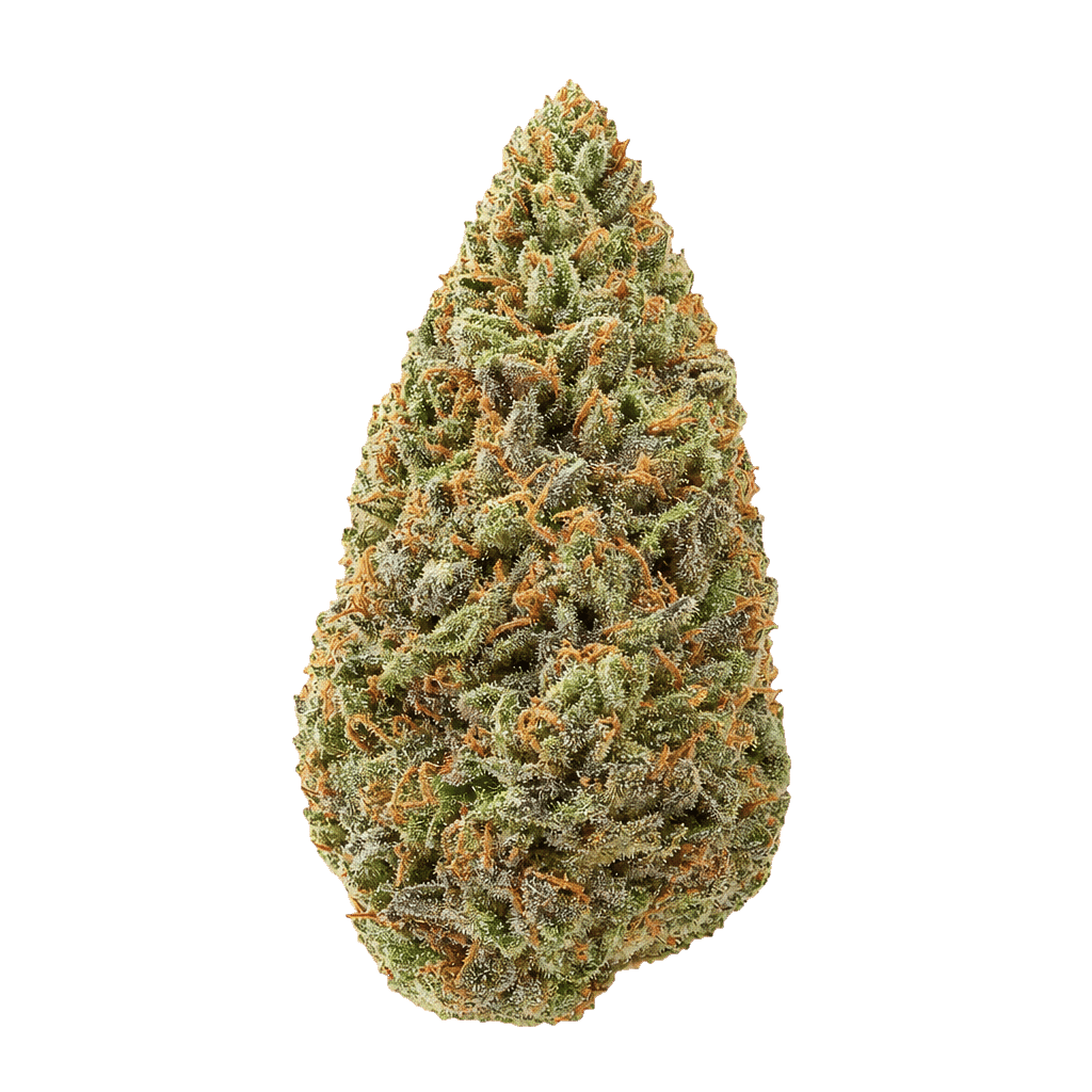 Cannabis Flos 25/1 ES Ku. The Chef Online Kaufen