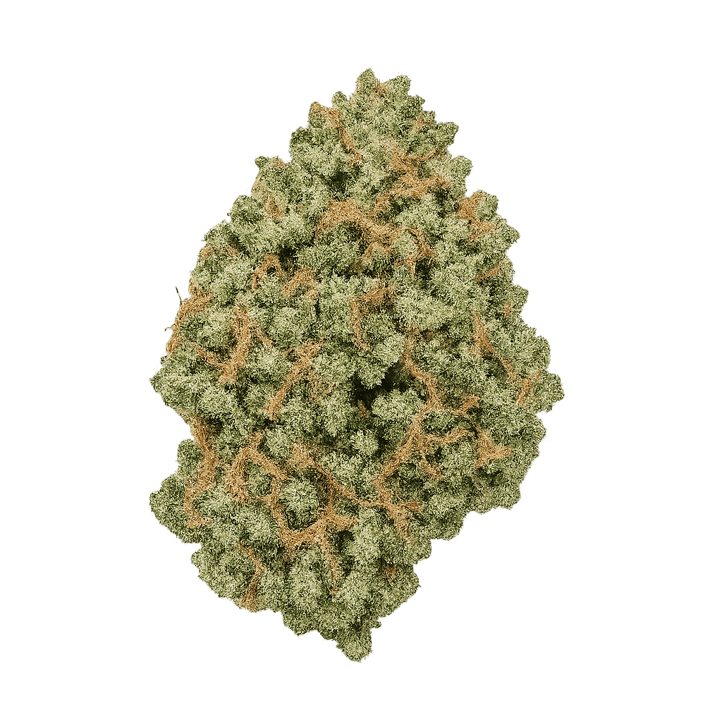 Cannabis 1A 18/1 White Widow Online Kaufen