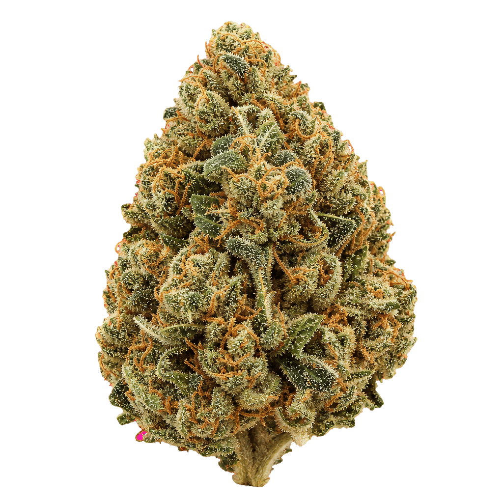 Cannamedical Hybrid Ultimate SF ABK Afghan Bubba Kush Online Kaufen