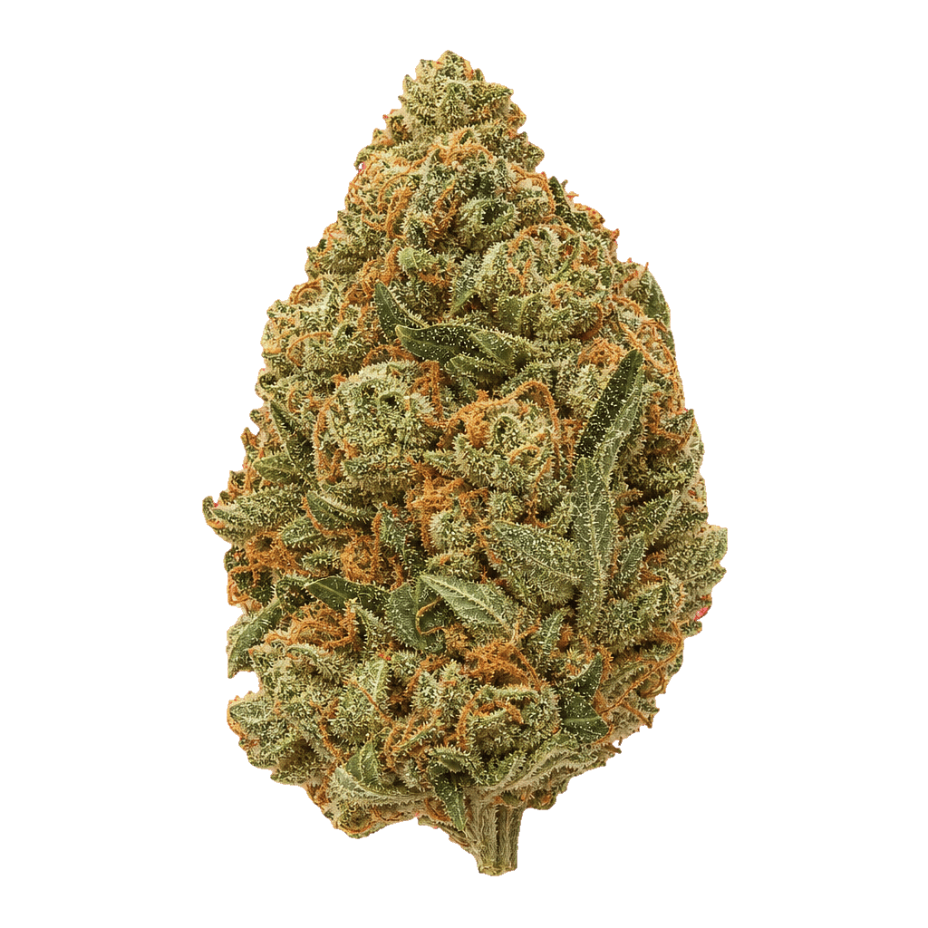 CannGo 28/1 WG Vegas Wedding Cake Online Kaufen