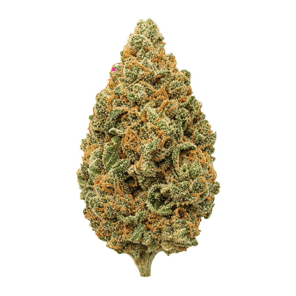 Demecan Craft Aloha 31:01 98 Aloha White Widow x Trainwreck Online Kaufen