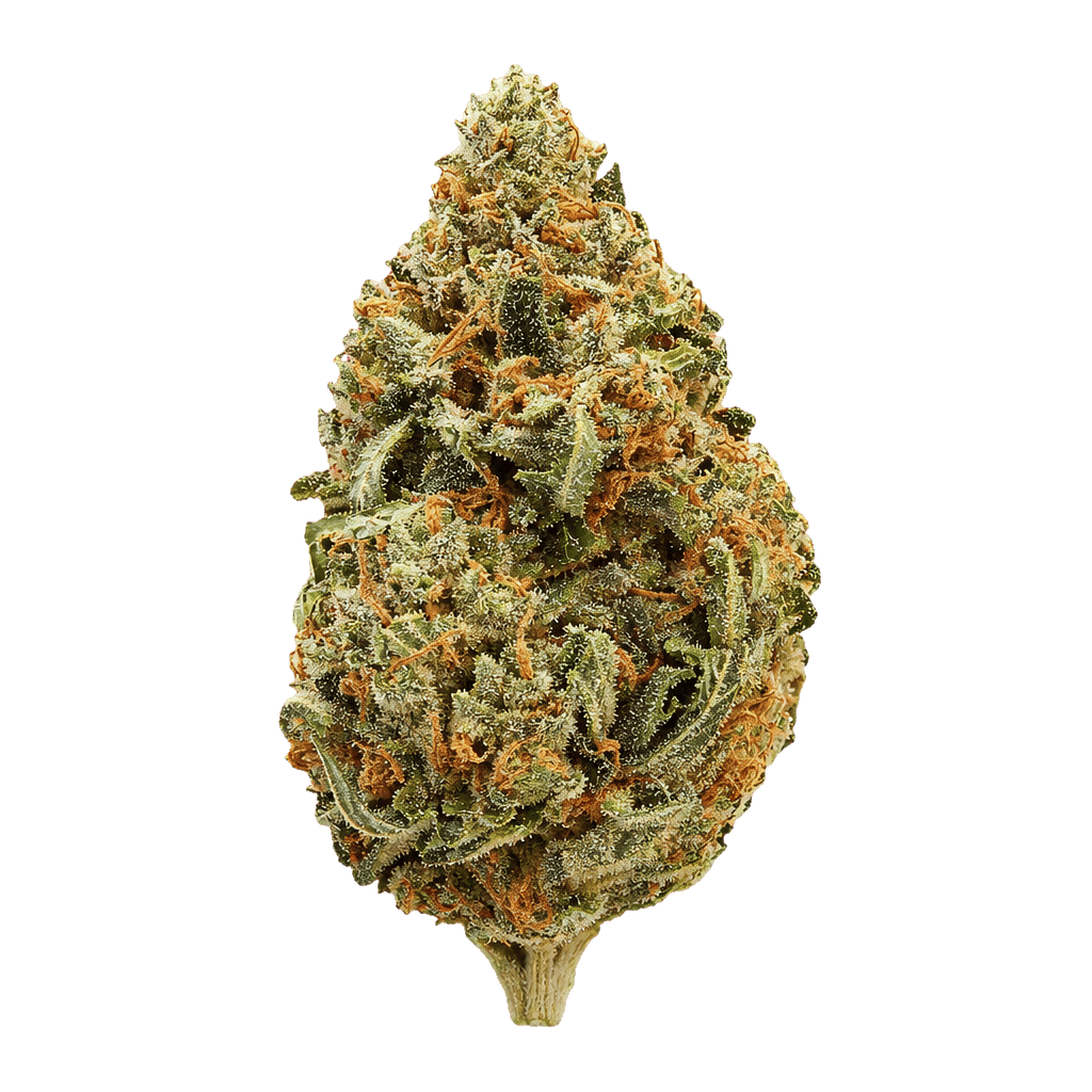 Demecan MC Regular Drop 24:01 Sherbet Mints Online Kaufen
