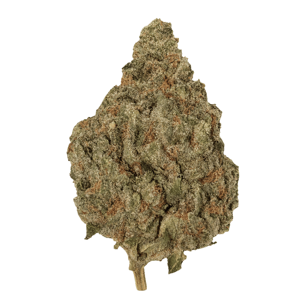 Demecan CRAFT D-Jungle 28:01 Purple Punch x Jungle Cake Online Kaufen