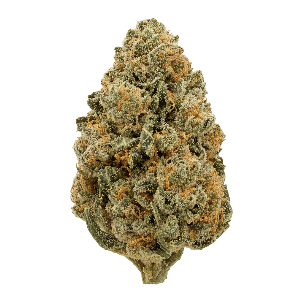 Endo Canna 27/1 AB Apple Betty Online Kaufen