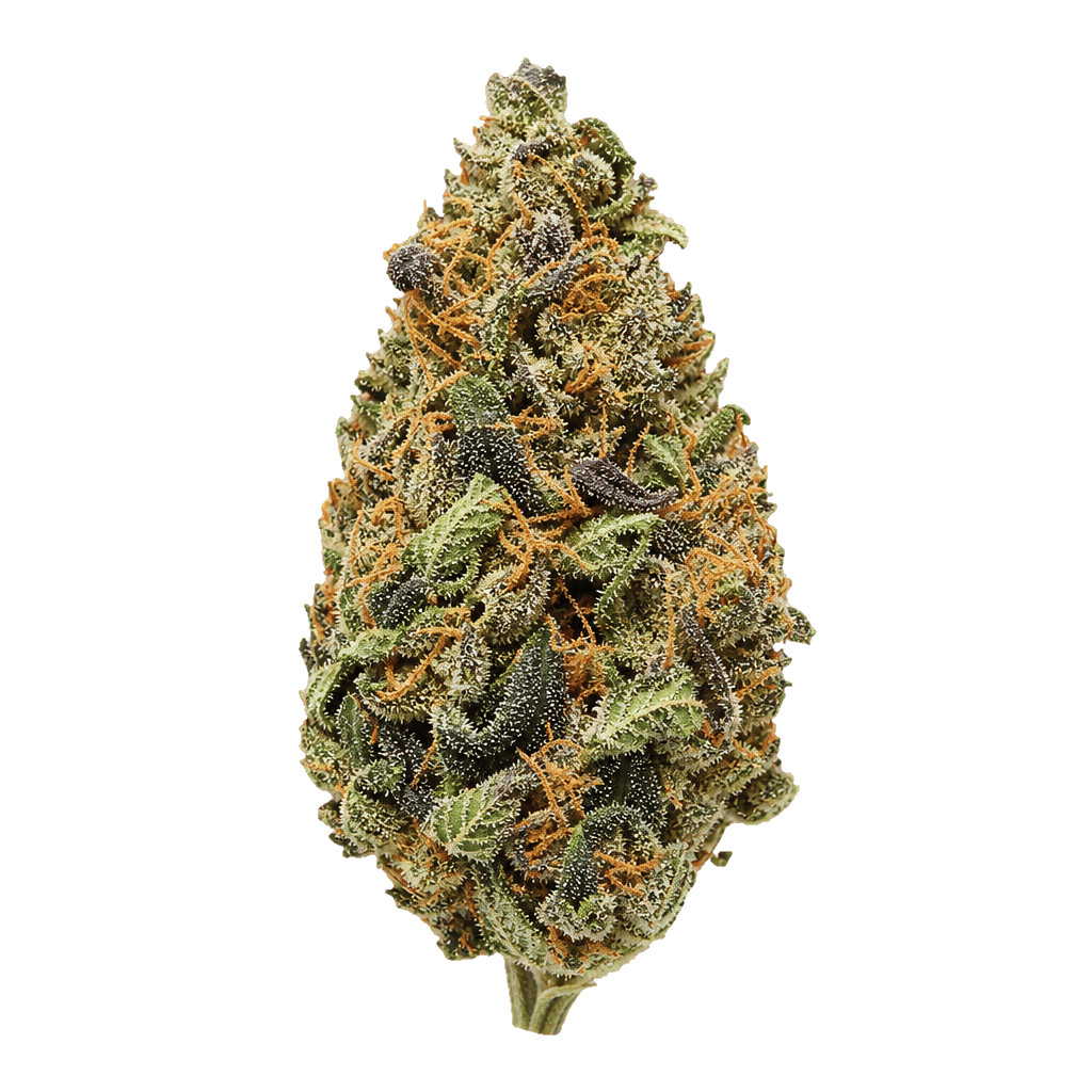 enua 27/1 TCP CA Tropical Cherry Punch Online Kaufen