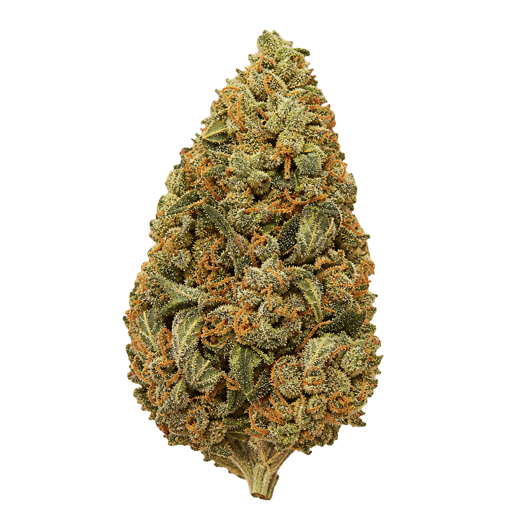 FAAFO Cannabis 27/1 GPO Gastro Pop Online Kaufen