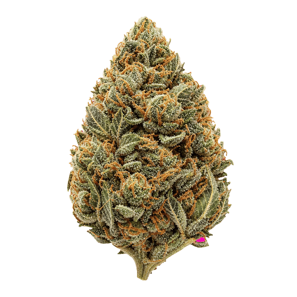 Gripon420 24/1 FLF Fruitloops x Fuel Online Kaufen