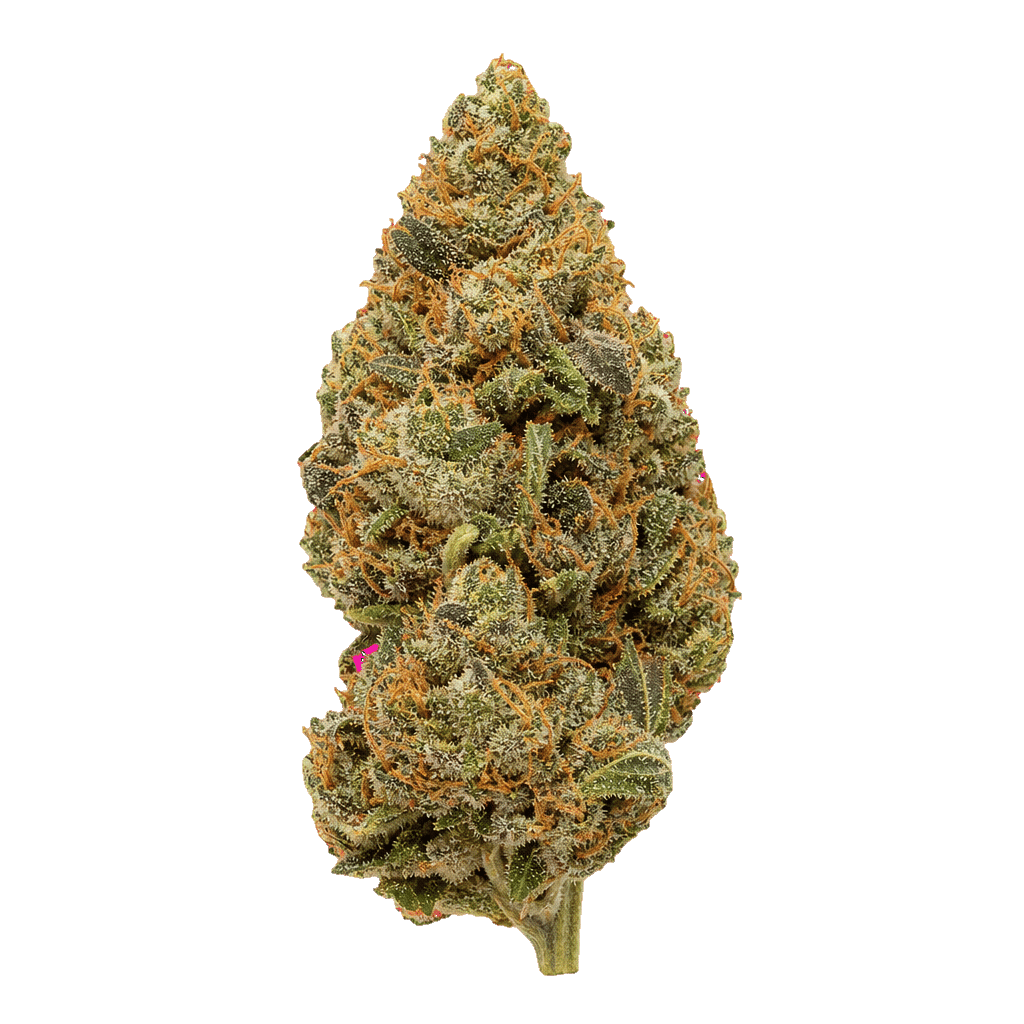 HiDealz 21/1 MS CBG Citrus Bliss Gelato Online Kaufen