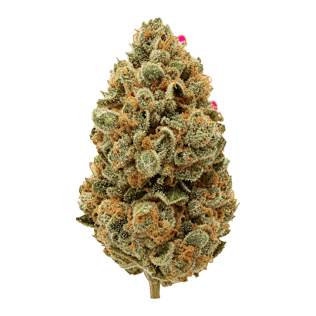Green Mile 27/1 GSC Girl Scout Cookies Online Kaufen