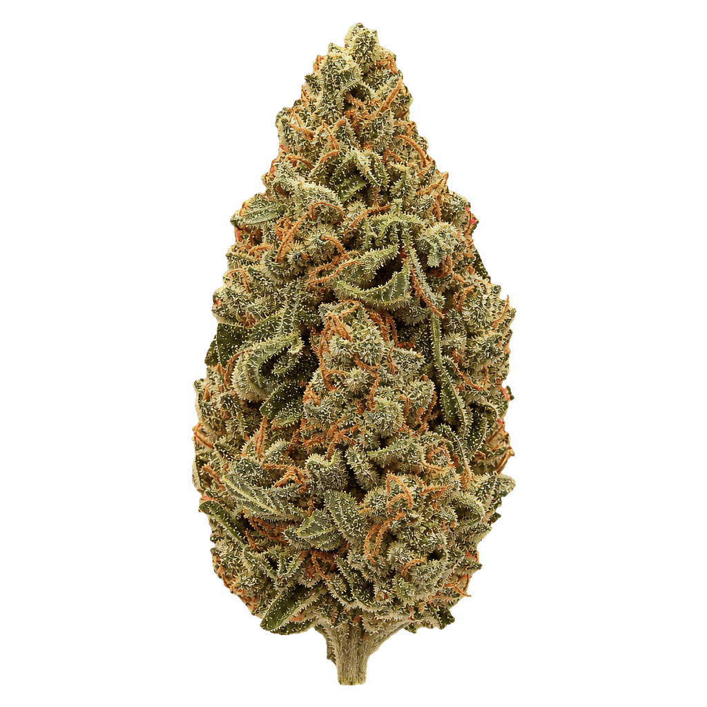 HUALA 30/1 UK CIN Cinderella Kush Online Kaufen