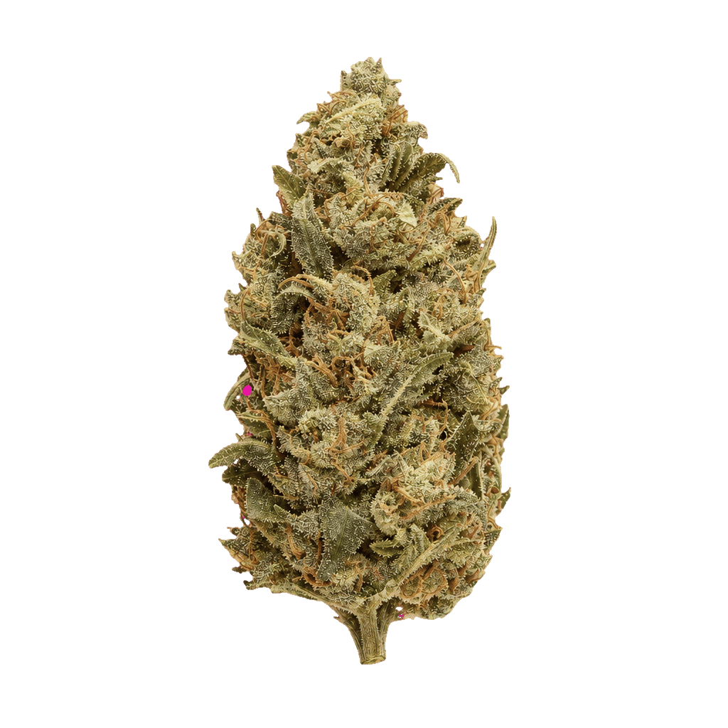 IMC BCP1 THC25 Grape Dosi Online Kaufen
