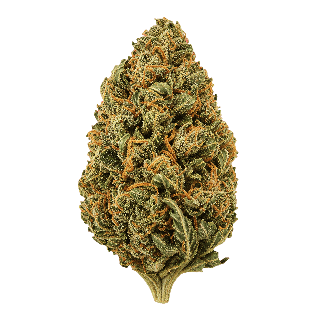 HUALA 30/1 CA POG Pineapple God Online Kaufen